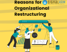 From Chaos to Order: Important Considerations for Organizational HR Restructuring